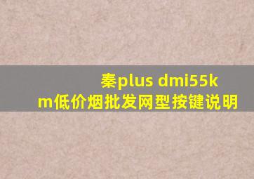 秦plus dmi55km(低价烟批发网)型按键说明